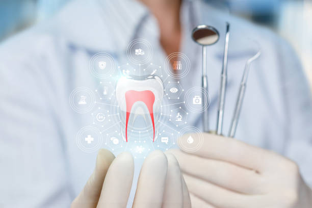 Professional  Holistic Dental Services in Cleburne, TX